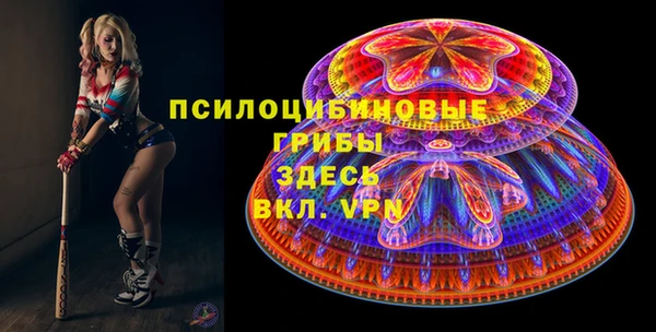 дмт Тихвин