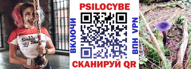 Псилоцибиновые грибы Cubensis  наркота  blacksprut вход  Тутаев 