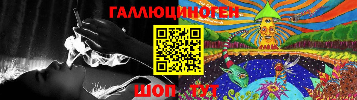Галлюциногенные грибы Psilocybine cubensis Тутаев