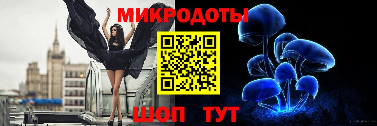 Псилоцибиновые грибы GOLDEN TEACHER  Вход с VPN  Псилоцибиновые грибы прущие грибы  Тутаев 