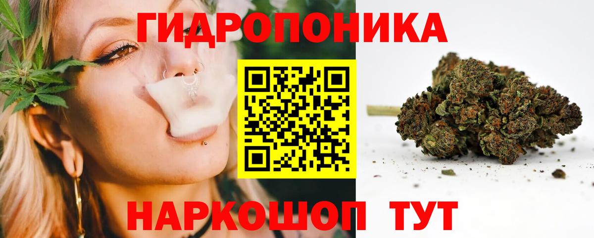 Каннабис White Widow  Бошки марихуана AK-47  Конопля индика  Тутаев  Вход с VPN 